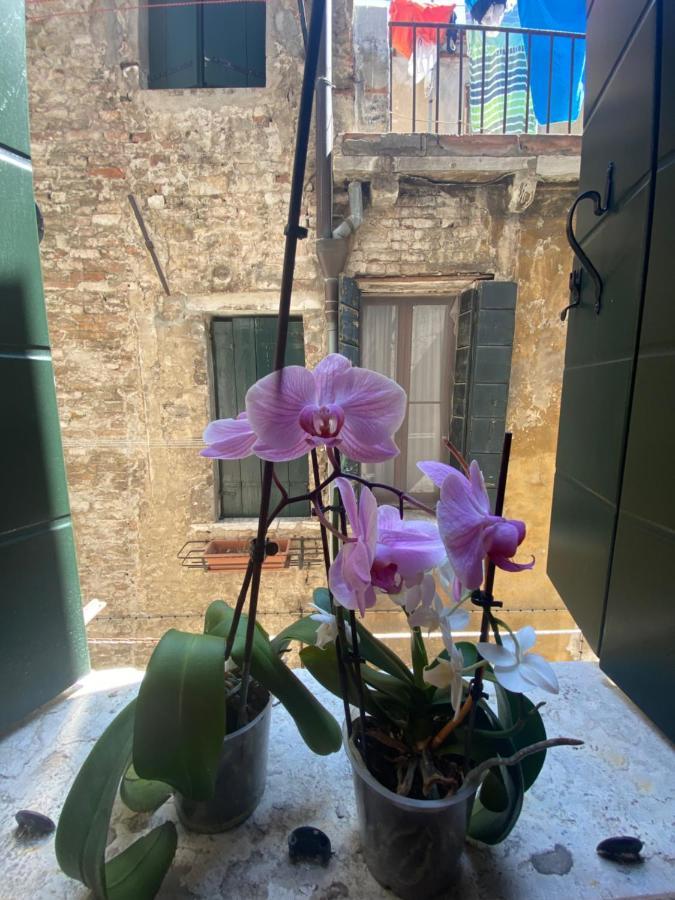 Emma's House Venezia